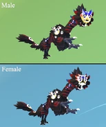 ShararookShimmerGlimmer.png (385 KB) Shimmer + Glimmer Shararook