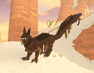 Old Melanistic Vetemortem