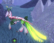 Old Glow Tail male Aholai; note the glowing parts on the hind legs