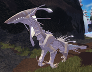 Leucistic male Yeba'idi