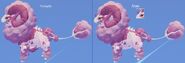 Dimorphism between male and female Cottol