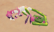Cantapodi laying