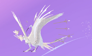 Leucistic Lotremum