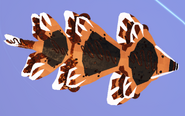 Smore Cupuere, top view