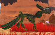 Overgrown male Aholai