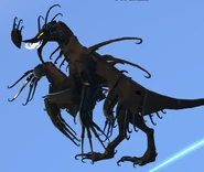 Melanistic Garra Warden