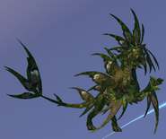 Overgrown Gloracus