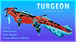 What tier will Turgeon be based on size?