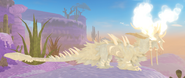 Leucistic Heisoteri