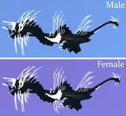 Custom Glimmer Oxysenix, highlighted