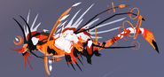 Clownfish Nyxasolyx