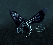 Glimmer male Yiepir, night