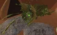 Overgrown Furnilixii