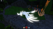 Albino Glovaucus