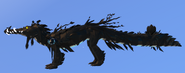 Melanistic female Nymphasuchus