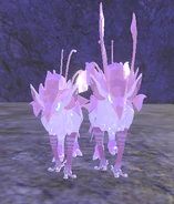 Dwarfism male Kyiki (left) next to Regular female Kyiki (right)