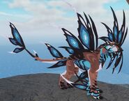 Adult Gloracus