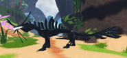 Old Melanistic Magnarothus