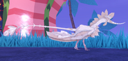 Leucistic male Brequewk