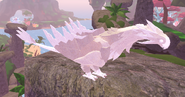 Leucistic Colval