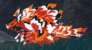Clownfish Frigilinx
