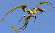 Harvest Zakaiodrak