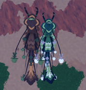 Default Dwarfism male (right) and Costume regular male (left) Clovilowper, from above