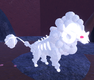 Previous model Albino Cottol