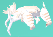 Leucistic Kavouradis