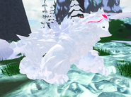 Albino female Koryser