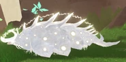 Old Leucistic Militrua