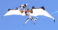 Piebald Pterolythux