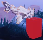 Koini's hitbox