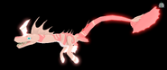 Old Glimmer male Koipise