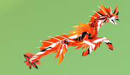 Clownfish female Koipise
