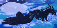 Melanistic female Saukuryn
