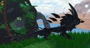 Melanistic female Emphines