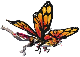♀