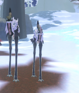 Dwarfism male Khiku (right) next to Regular male Khiku (left)