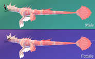 Old Headless + Glimmer Koipise