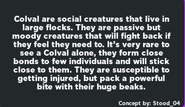 Colval's description pre-release