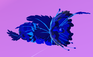 Sapphire male Furnilixii