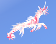 Shimmer Koipise