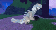 Old Leucistic Shro