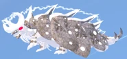 Old Albino on previous Militrua model