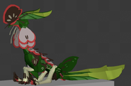 Posed Aholai, sitting