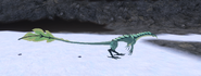 Juvenile Fluren