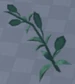 SeaPlant