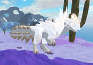 Old Leucistic Doragonix
