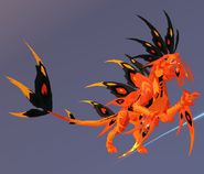 Clownfish Gloracus